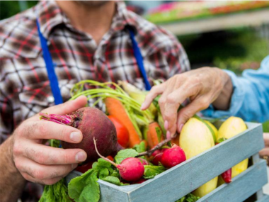 constat-sur-l-economie-circulaire-alimentaire-et-solidaire
